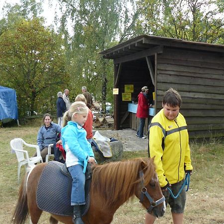 Holiday Home In Wietzendorf In The L Neburg Heath With A View Of The Countryside Eksteriør bilde