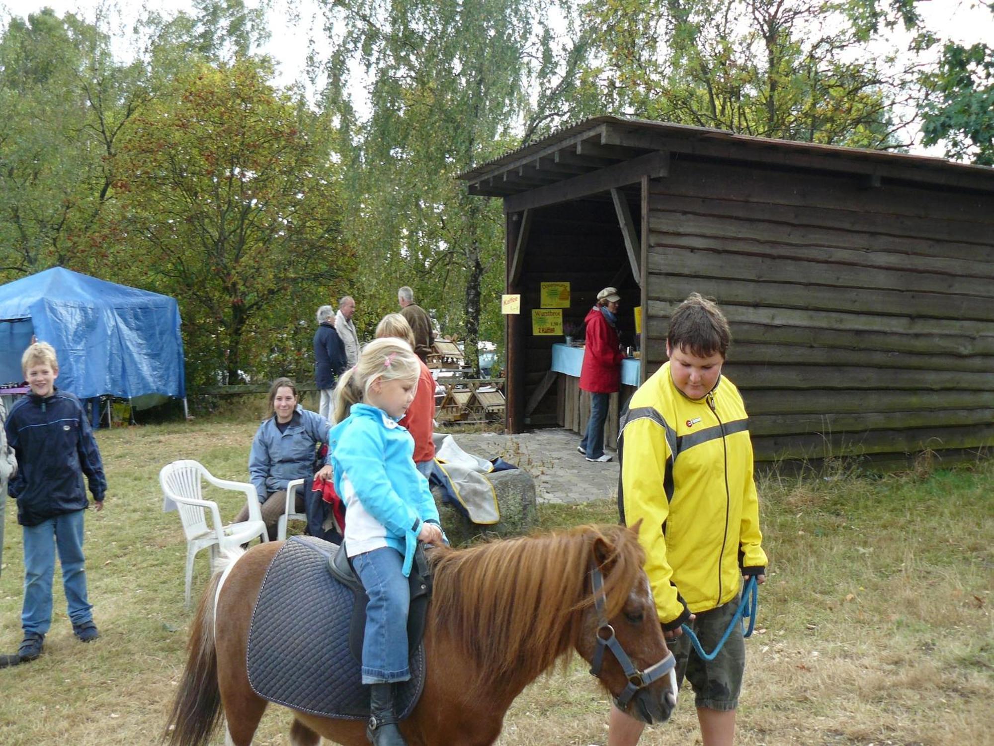 Holiday Home In Wietzendorf In The L Neburg Heath With A View Of The Countryside Eksteriør bilde