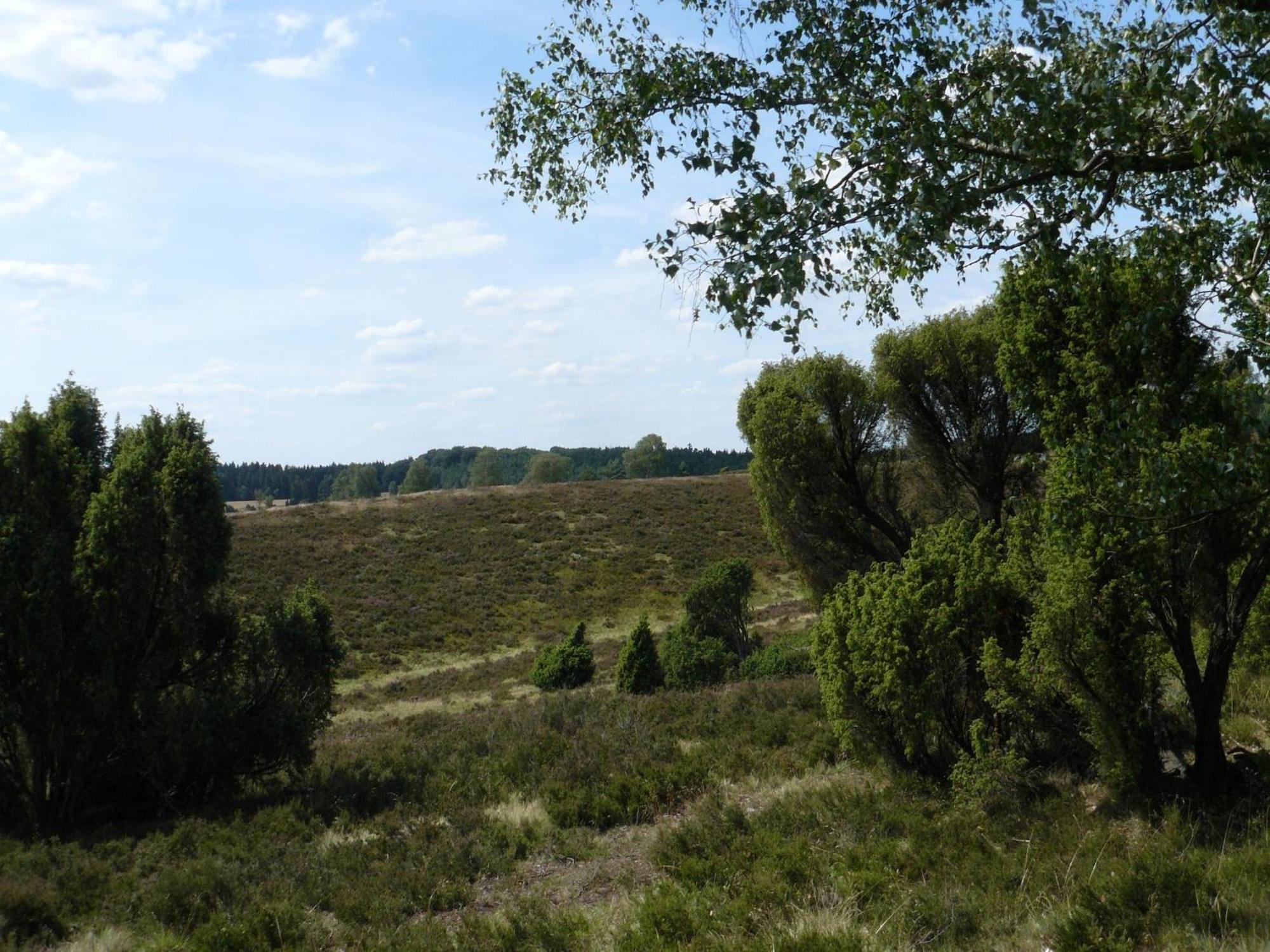 Holiday Home In Wietzendorf In The L Neburg Heath With A View Of The Countryside Eksteriør bilde